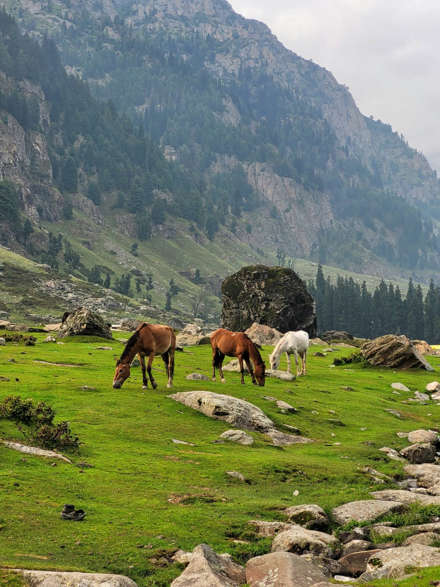 Srinagar • Sonamarg • Pahalgam • Gulmarg • Doodhpathri itinerary picture
