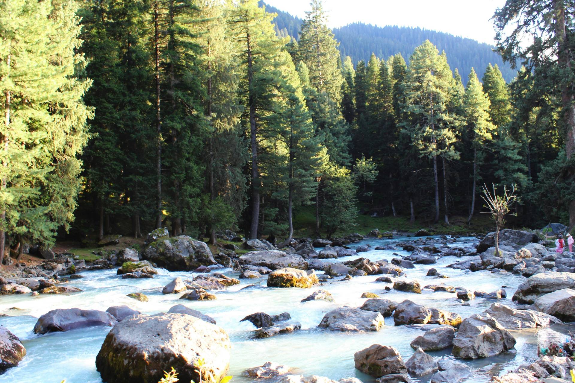 Srinagar • Sonamarg • Pahalgam • Gulmarg • Doodhpathri itinerary picture